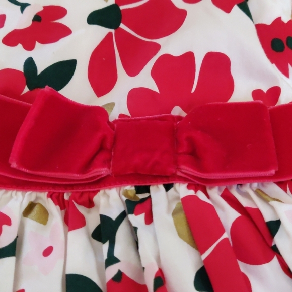 Carter's Holiday Dress - Picture 5 of 5